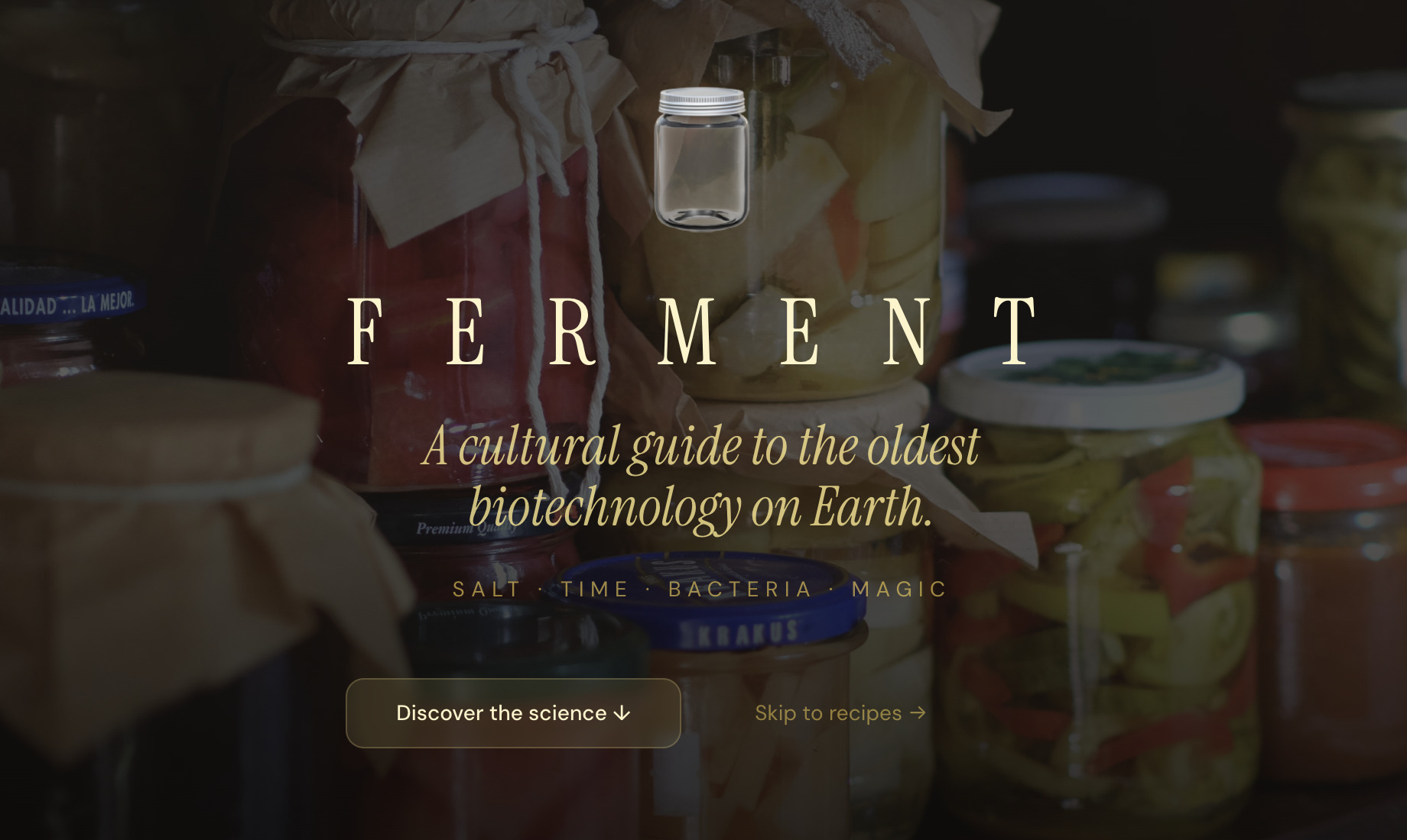 Ferment cover